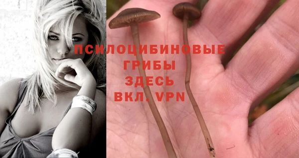 кокаин премиум Кинешма