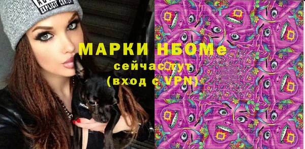 крисы Козельск