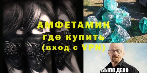 крисы Козельск