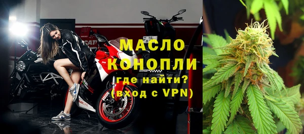 крисы Козельск