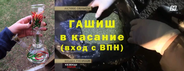 крисы Козельск