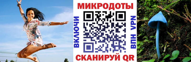 Псилоцибиновые грибы Psilocybine cubensis  Купить  Калач-на-Дону 